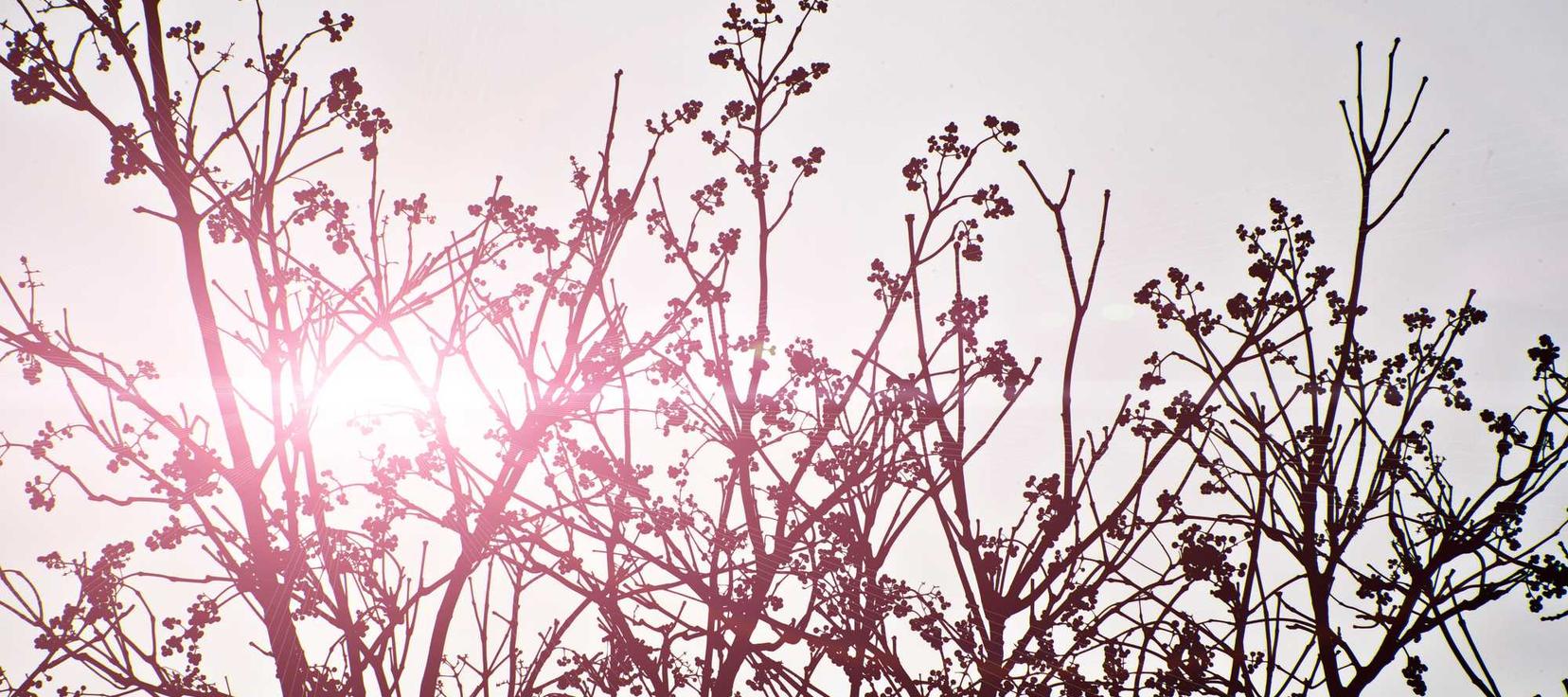 华纳云实名账号：泉州期权开户网站查询平台