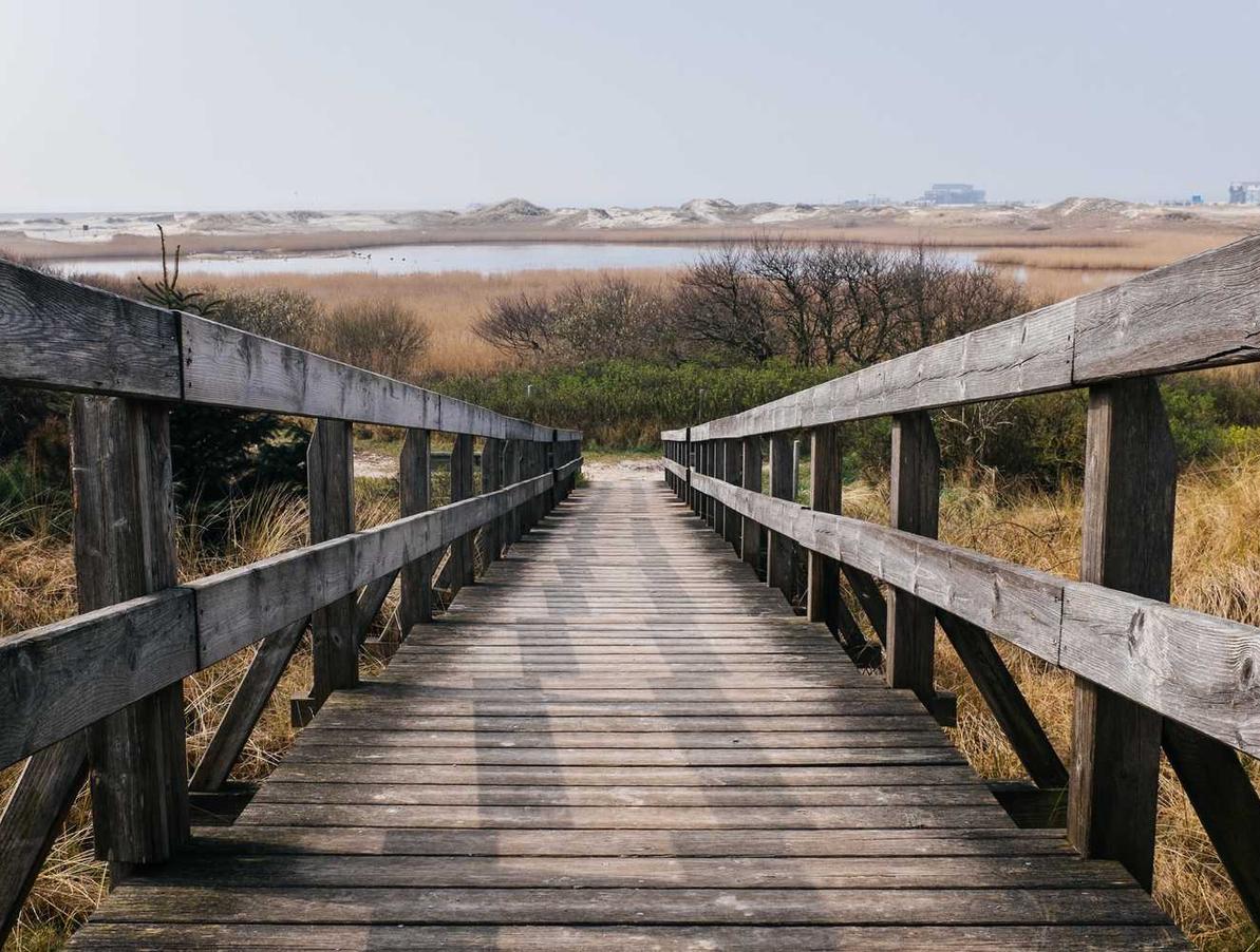 如何使用竞争关键词提高您的SEO 