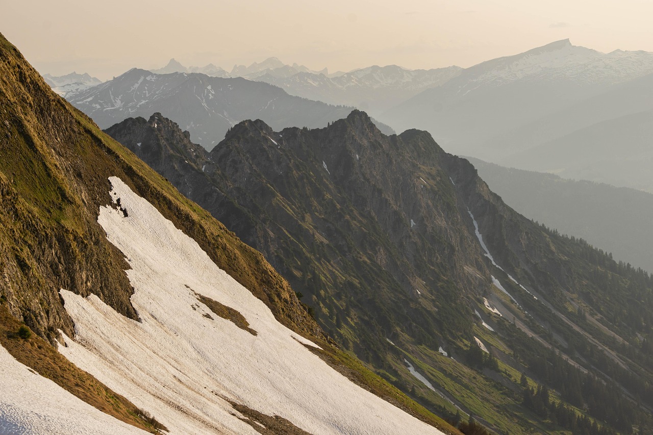 罗密欧1号（15支）（5盒）：黄浦代理记账平台