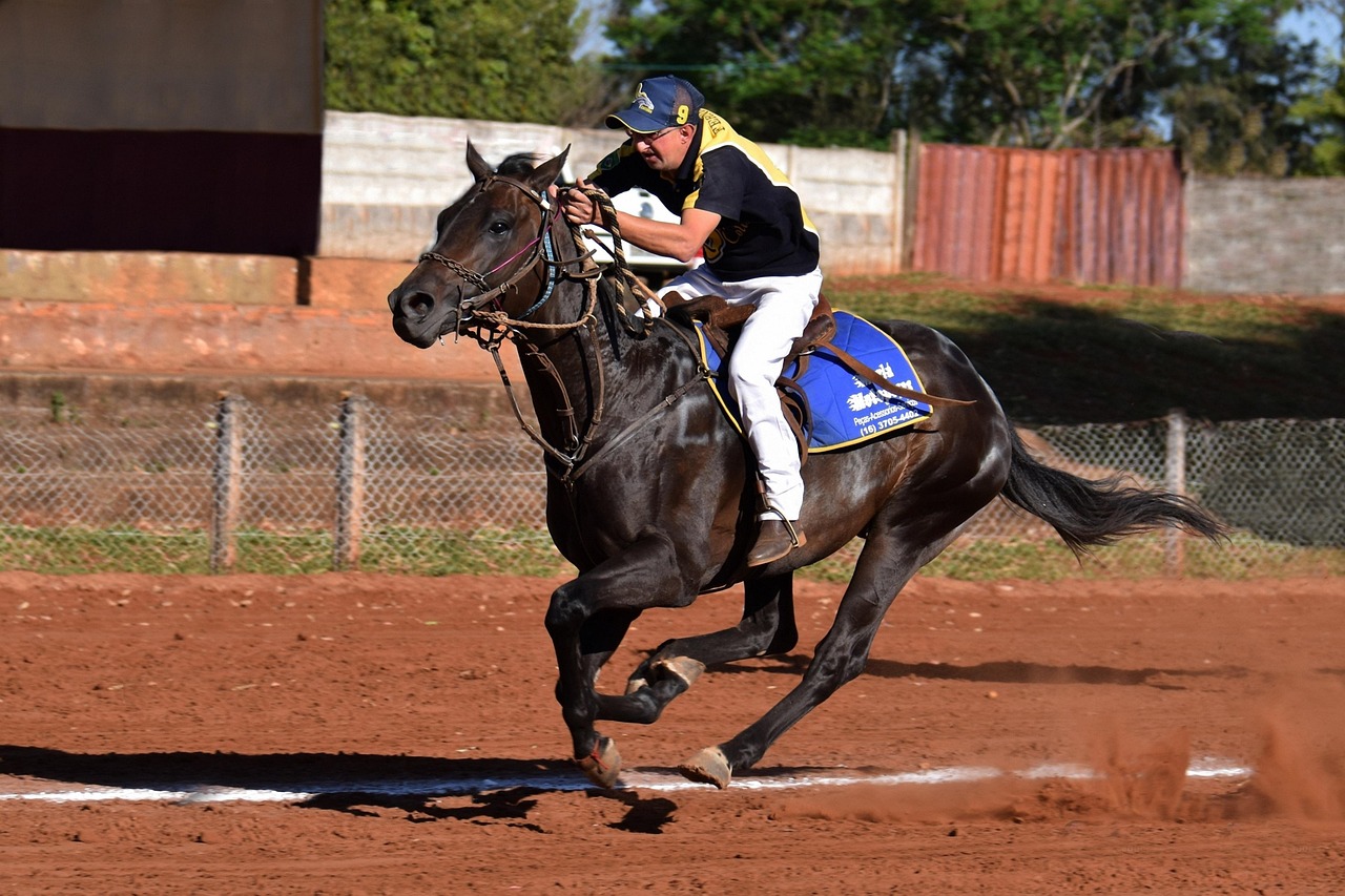 太保e卡实名账号:纹绣教学账号注册