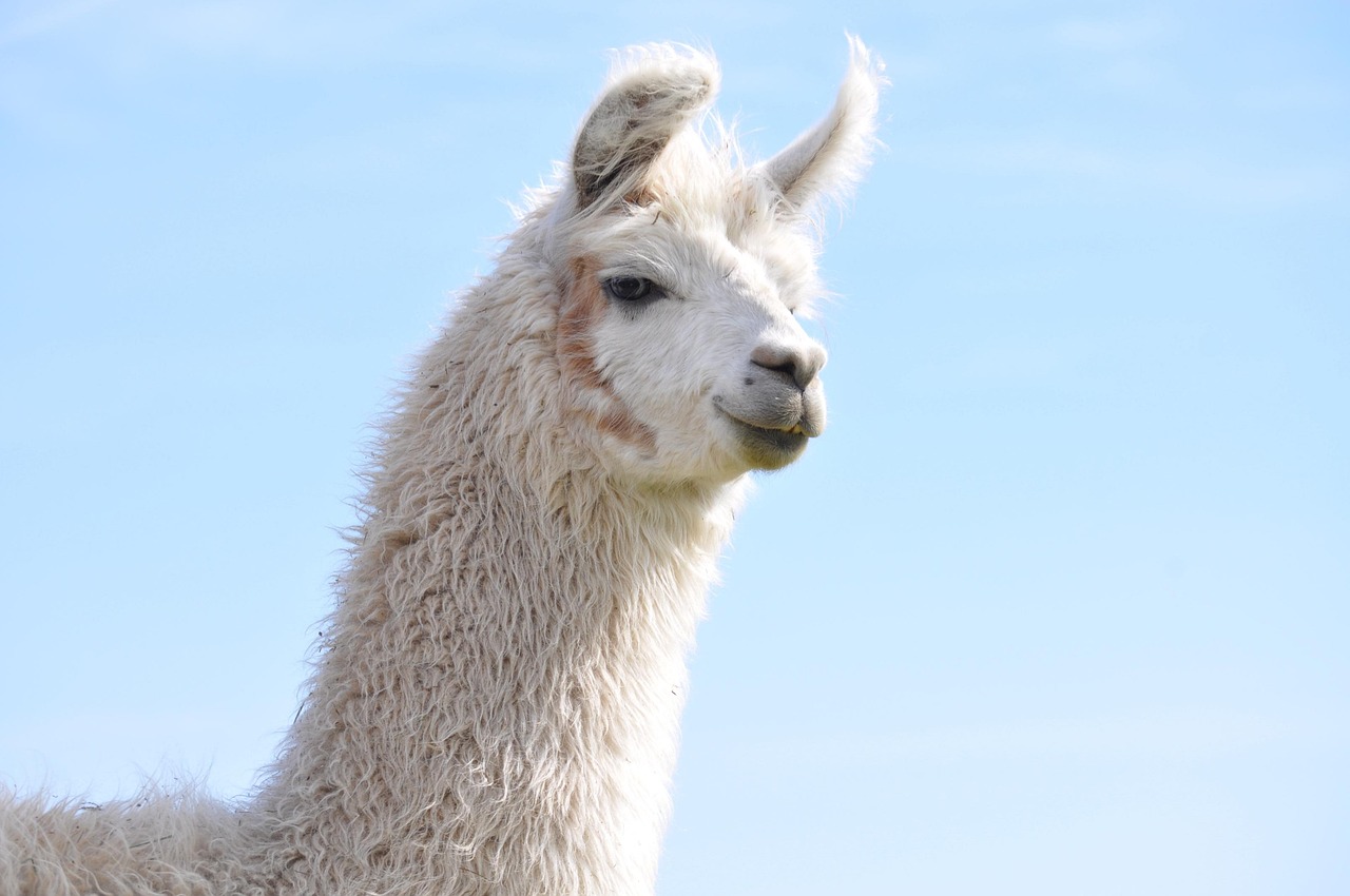 摩鑫如何将企业宣传创意融入到日常营销中来?