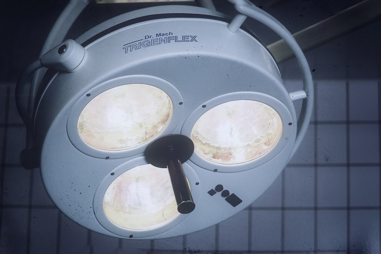 海豚之星有什么账号是邮箱注册的