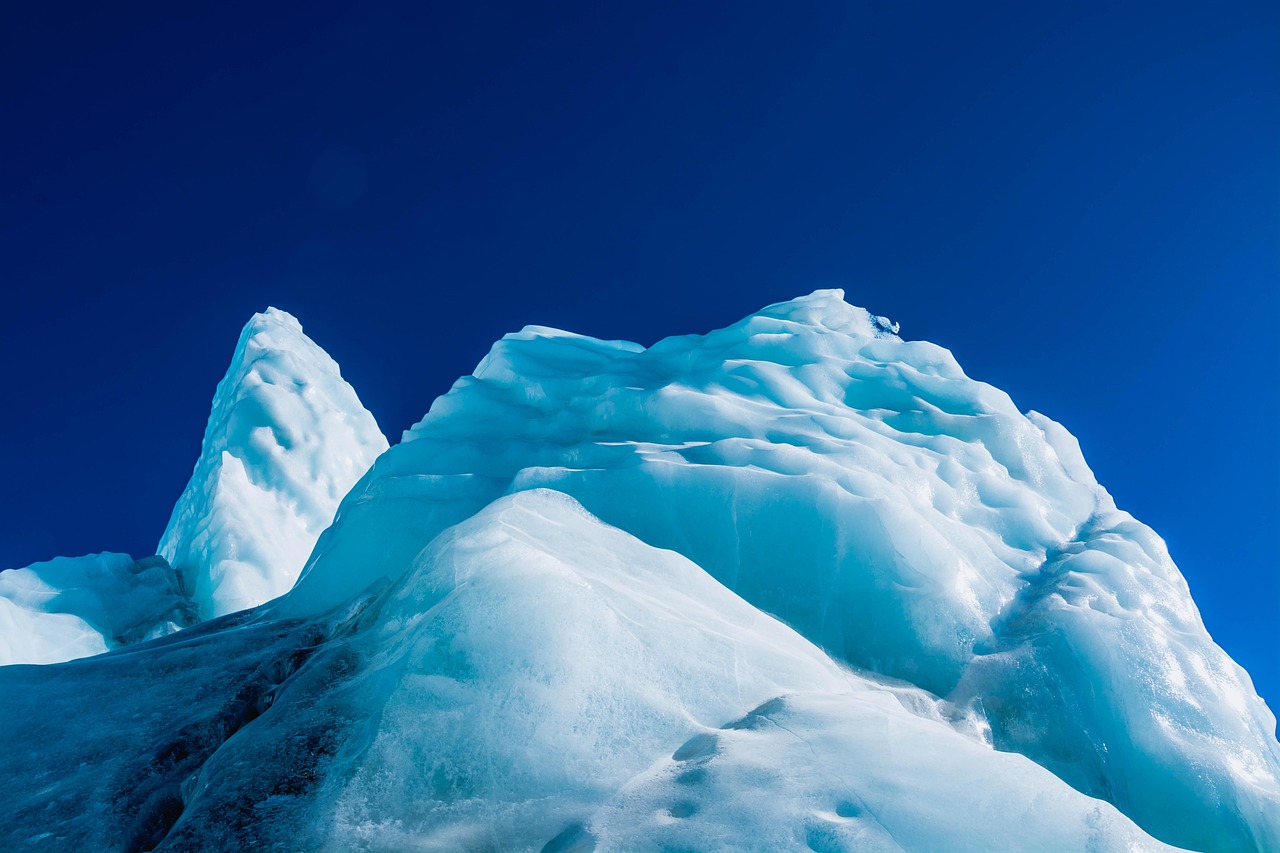 实名支付宝买卖：详情下载教程和生活爱辽宁app