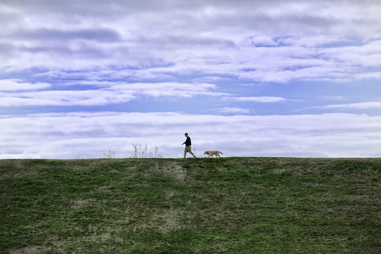 欧迪99单车app详情下载教程