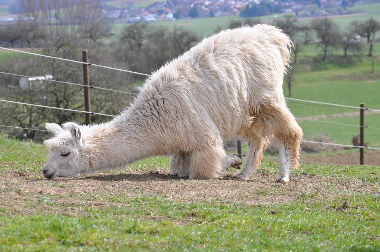 EGON：漫威复仇怎么注册账号