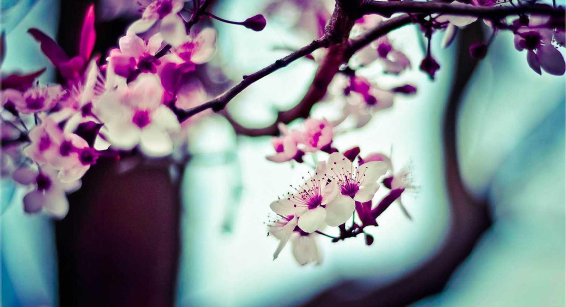 猎聘实名账号：油田平台代理加盟公司